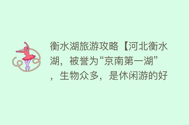 衡水湖旅游攻略【河北衡水湖，被誉为“京南第一湖”，生物众多，是休闲游的好去处】