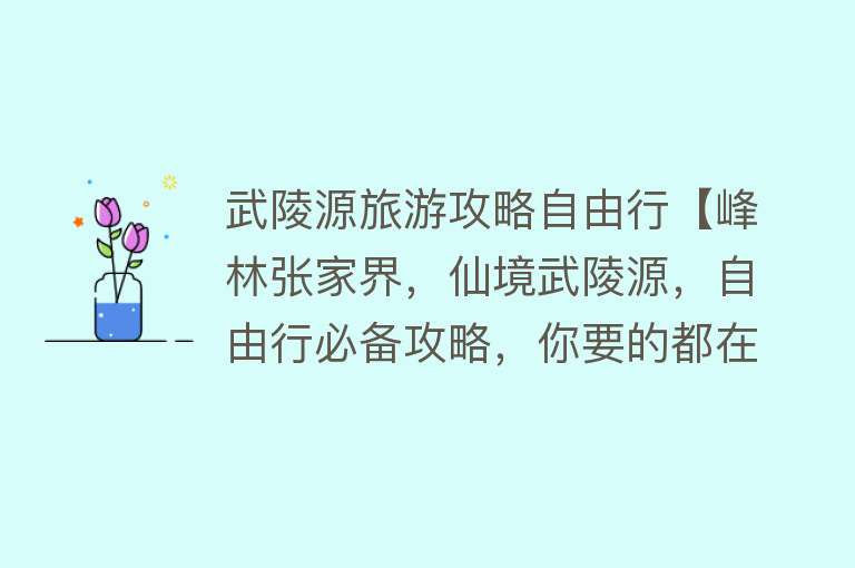 武陵源旅游攻略自由行【峰林张家界，仙境武陵源，自由行必备攻略，你要的都在这】