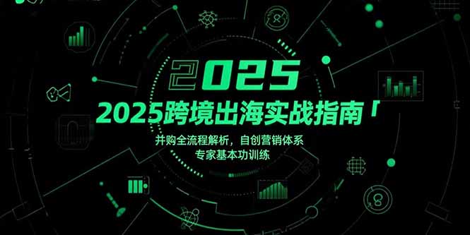2025跨境出海实战指南,并购全流程解析,自创营销体系,专家基本功训练