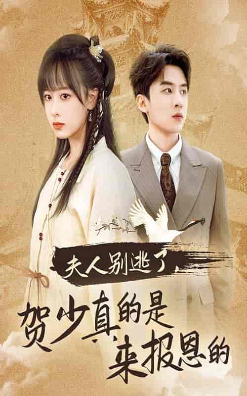 夫人别逃了贺少真的是来报恩的（63集全） - 紫橙阁短剧