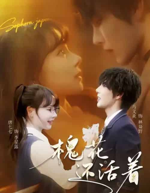 槐花还活着（70集全）马义炎＆唐七七-紫橙网创项目网