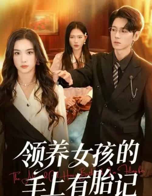 领养女孩的手上有胎记（60集全）王宇婧＆刘君尧-紫橙网创项目网