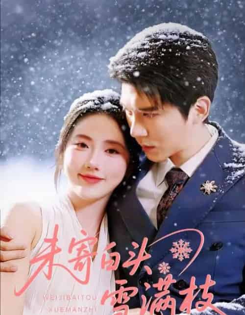 未寄白头雪满枝(61集全)金鑫欣&冯思源-紫橙网创项目网