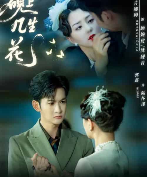 砚上几生花（62集全）章晓雅＆葛佳佳-紫橙网创项目网