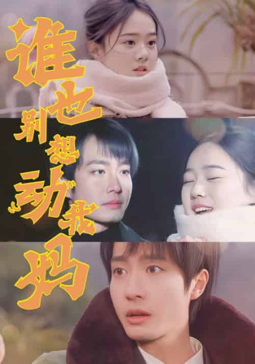 谁也别想动我妈（44集全）冯晓宁 - 紫橙阁短剧