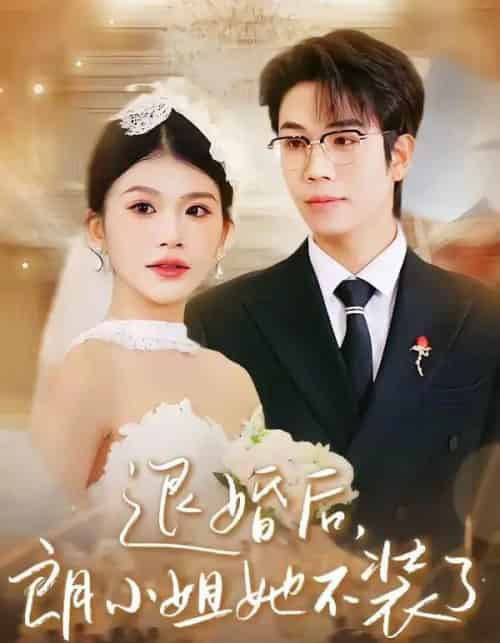 退婚后,朗小姐她不装了(40集全)钟宇飞&妞妞-紫橙网创项目网