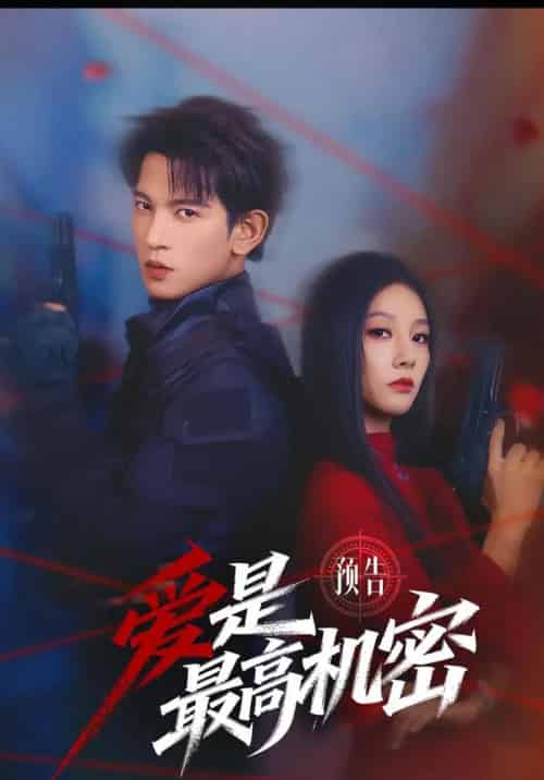 爱是最高机密(25集全)王嘉懋&朱丽岚-紫橙网创项目网