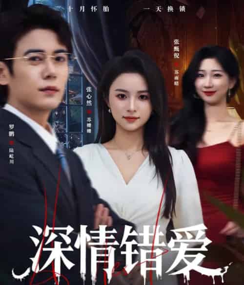 深情错爱＆鸠占鹊巢（45集全）罗鹏＆张心然-紫橙网创项目网