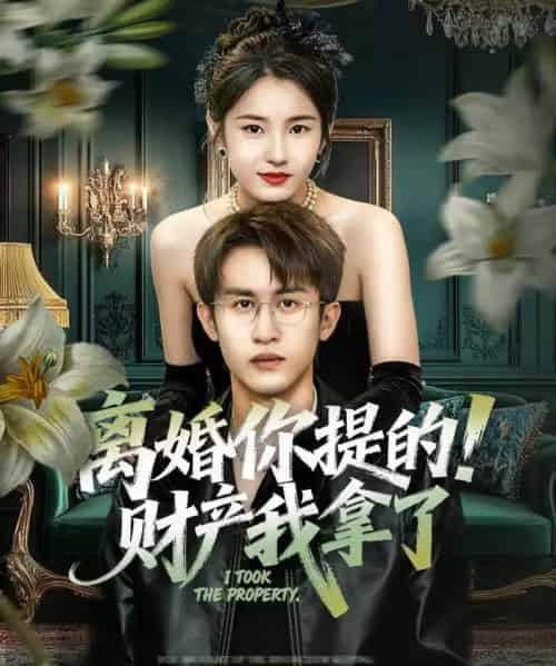 离婚你提的!财产我拿了(63集全)宋暖&秦露露-紫橙网创项目网