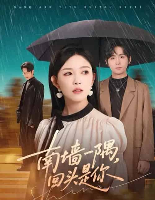 南墙一隅，回头是你（61集全）徐晨皓＆葛晓希-紫橙网创项目网