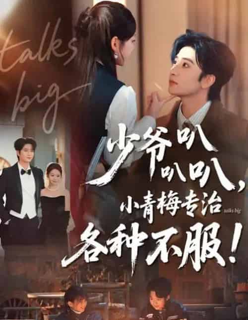 少爷叭叭叭，小青梅专治各种不服（100集全）侯朋岩＆雷馥缦-紫橙网创项目网