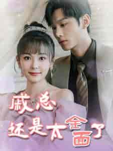 戚总还是太全面了＆戚总今天追到夫人了么（57集）杨桃 - 紫橙阁短剧
