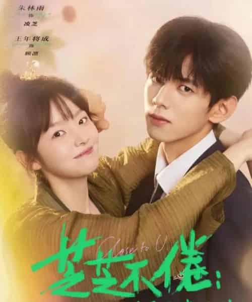 芝芝不倦：灵芝入世，男神非要和我贴贴（70集全）王年将成＆朱林雨-紫橙网创项目网