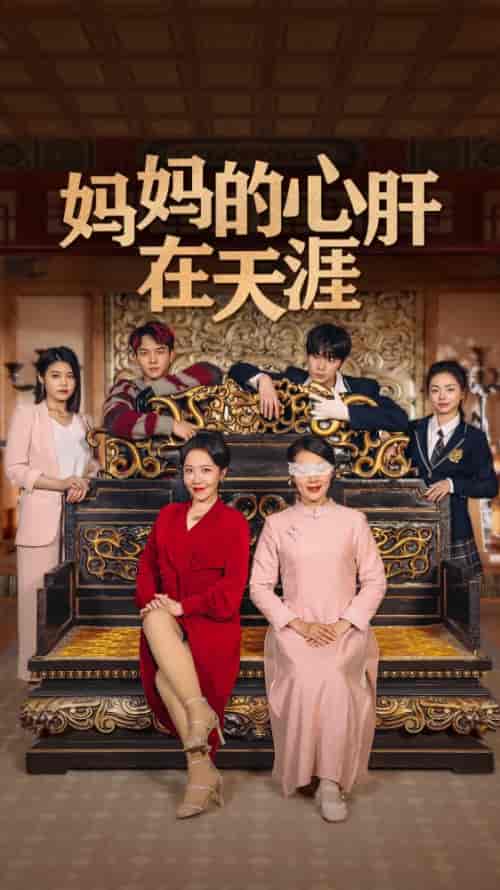 妈妈的心肝在天涯（妈妈的宝贝在天涯）（72集） - 紫橙阁短剧
