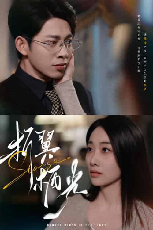 折翼栖光（43集全）白杨滋＆张钰静 - 紫橙阁短剧