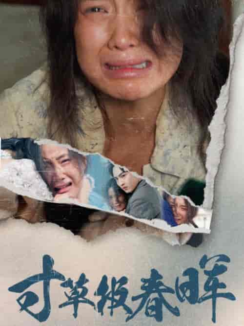 寸草报春晖（65集全） - 紫橙阁短剧