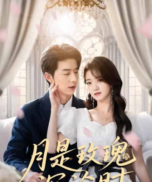 月是玫瑰沉沦时（85集）朱家妮-紫橙网创项目网
