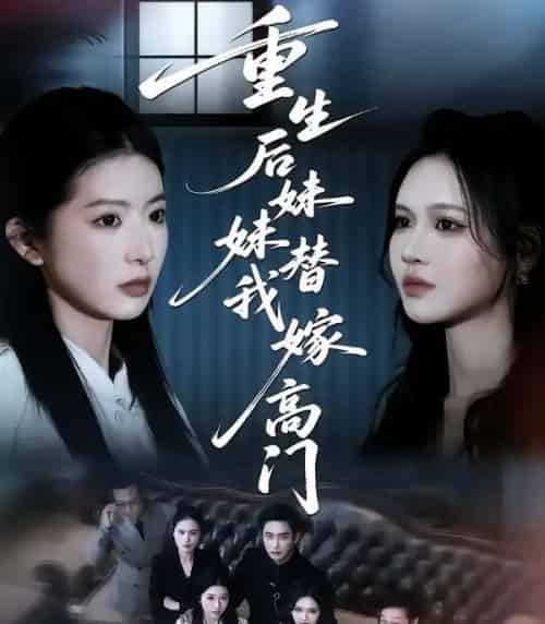 重生后妹妹替我嫁高门（86集全）肖琳＆丁紫嫣＆白浩-紫橙网创项目网