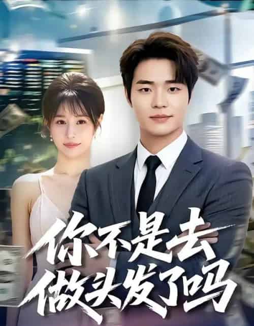 你不是去做头发了吗(80集全)罗豪宇&华雯-紫橙网创项目网