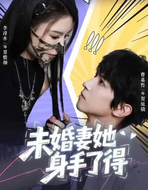 未婚妻她身手了得(50集全)李淳亦&曹嘉哲-紫橙网创项目网