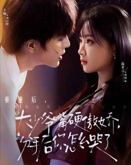 大少爷嘴硬傲娇，分手后你怎么哭了（80集全）王楠＆温茉言-紫橙网创项目网