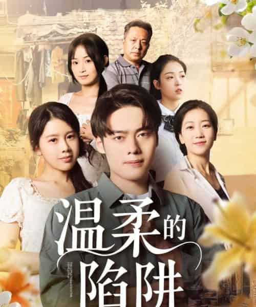 温柔的陷阱 温柔的陷阱