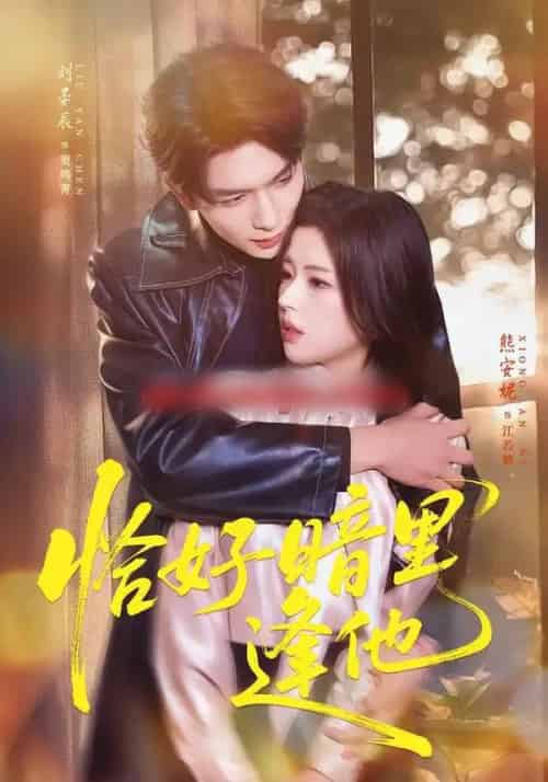 恰好暗里逢他（66集全）刘晏辰＆熊安妮-紫橙网创项目网