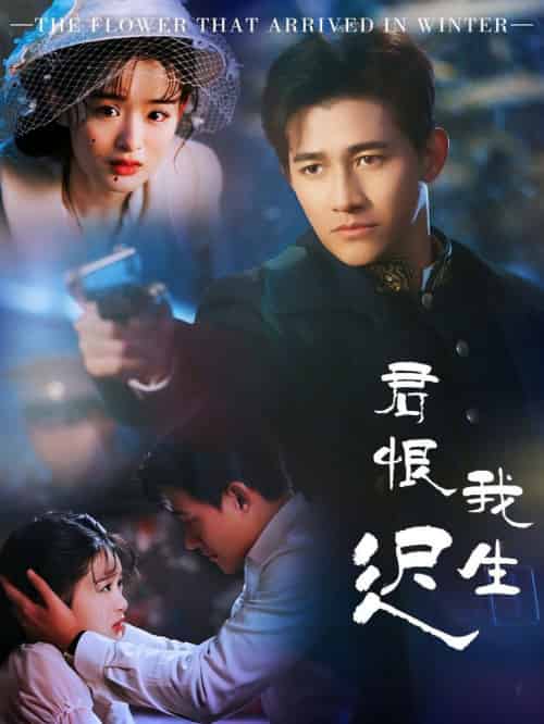 君恨我生迟＆司令府就是我的家（60集全）李子锋＆李紫一 - 紫橙阁短剧