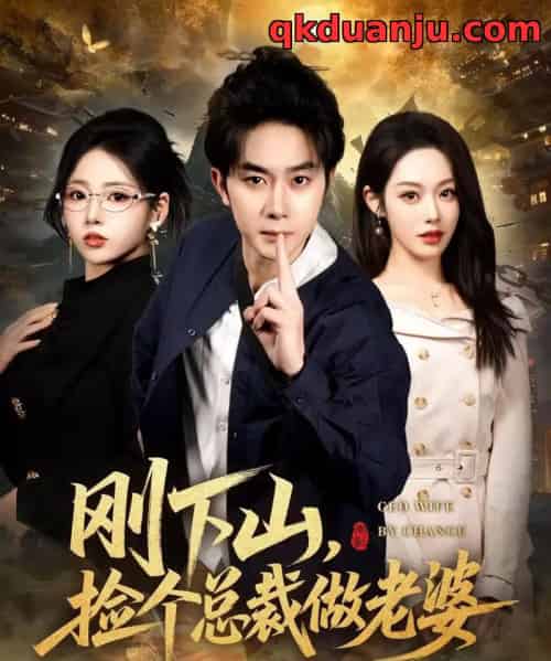 刚下山捡个总裁做老婆(80集全)杨皓竣&胡继月&李奕璇-紫橙网创项目网