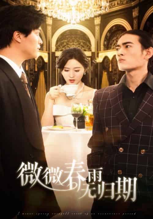 微微春雨无归期（65集全）栩晨昱＆书雪漫 - 紫橙阁短剧