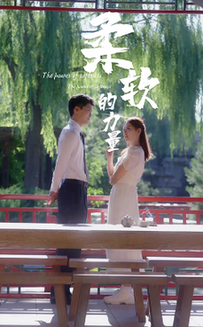 柔软的力量（80集全） - 紫橙阁短剧