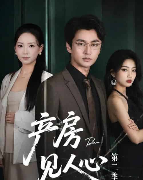产房见人心第二季(75集全)任燕&珑一-紫橙网创项目网