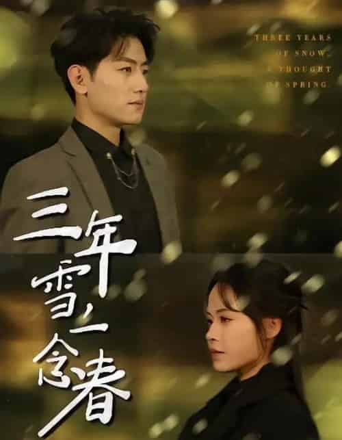 三年雪，一念春（70集全）王金宝＆林诺诺-紫橙网创项目网