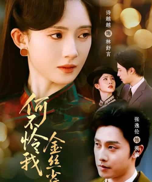 何不怜我金丝雀（60集全）张逸伦＆诗越越-紫橙网创项目网