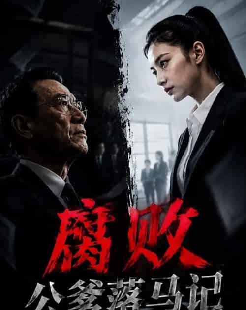 腐败公爹落马记（16集全）AI-紫橙网创项目网
