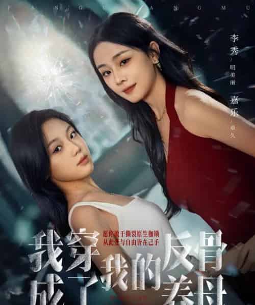 我穿成了我的反骨养母(70集全)吴明宇&李秀-紫橙网创项目网