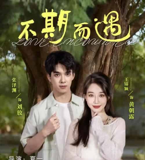 不期而遇（62集全）张泽渊＆王锦颖-紫橙网创项目网