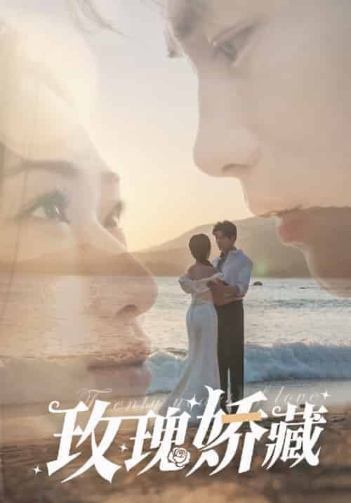 玫瑰娇藏（50集全）曹景皓＆张予湉 - 紫橙阁短剧