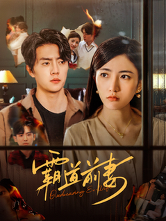 霸道前妻 霸道前妻