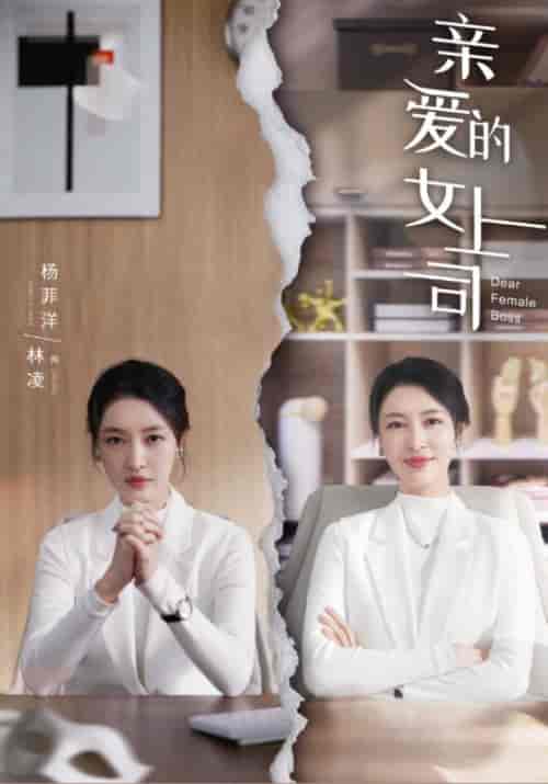 亲爱的女上司（30集全）小林＆林凌 - 紫橙阁短剧