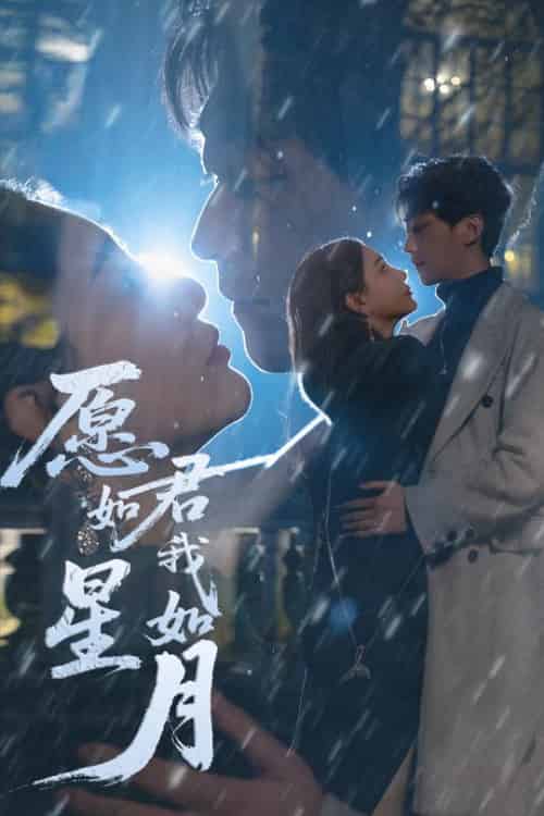 愿君如星我如月 愿君如星我如月