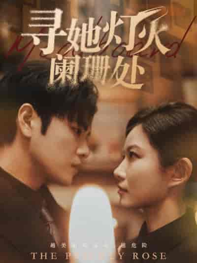 寻她灯火阑珊处（61集） - 紫橙阁短剧