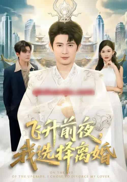 飞升前夜，我选择离婚（80集全）王昭＆张颖洁-紫橙网创项目网