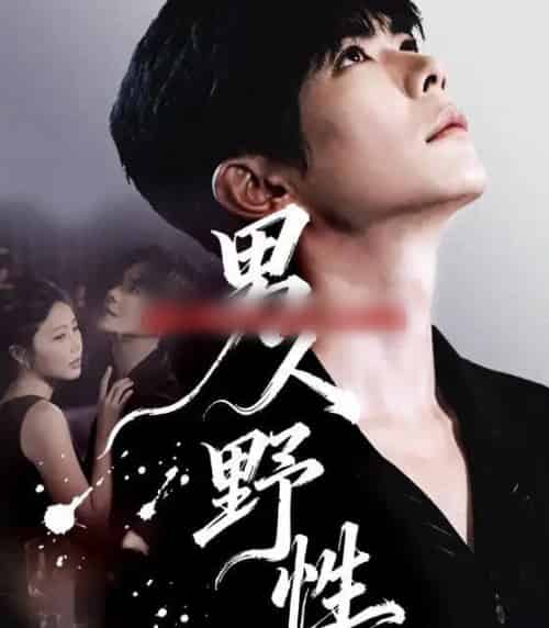 男人野性（66集全）温宇＆陈酉昔-紫橙网创项目网