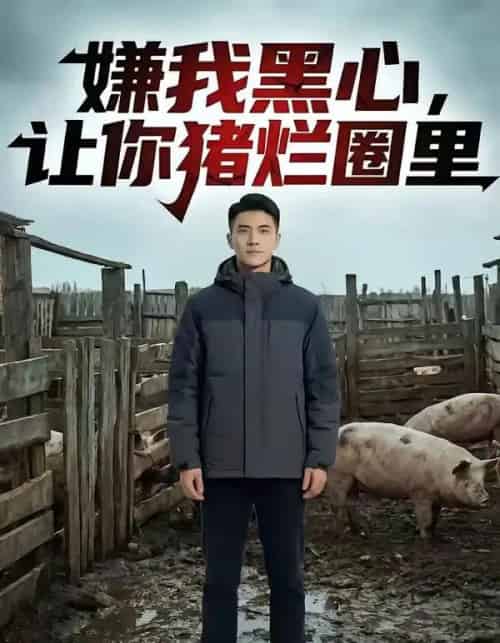 嫌我黑心,让你猪烂圈里(20集全)AI-紫橙网创项目网
