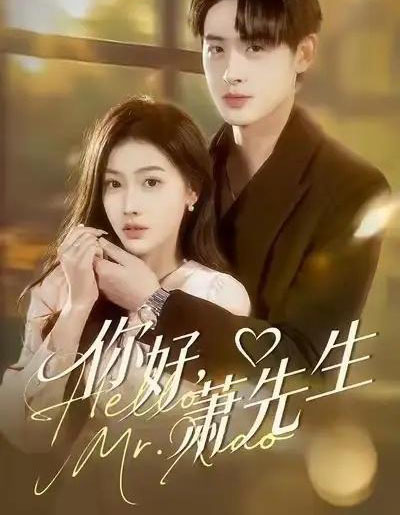 你好,萧先生(98集全)乔婉宁&李小风-紫橙网创项目网