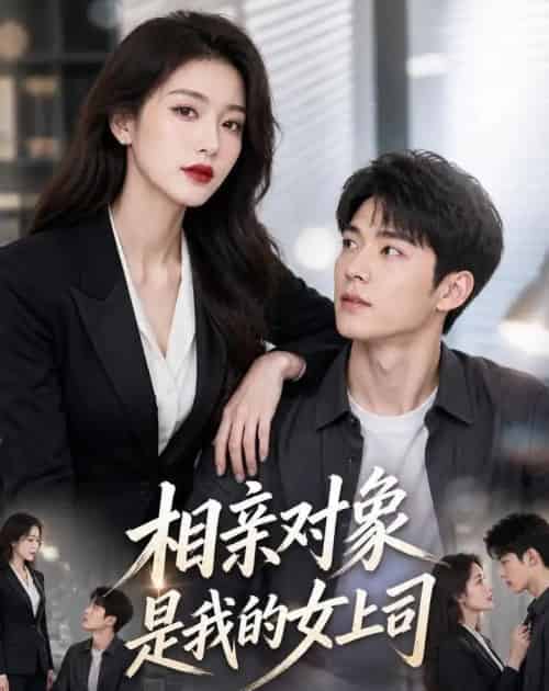 相亲对象是我的女上司（45集全）AI - 紫橙阁短剧
