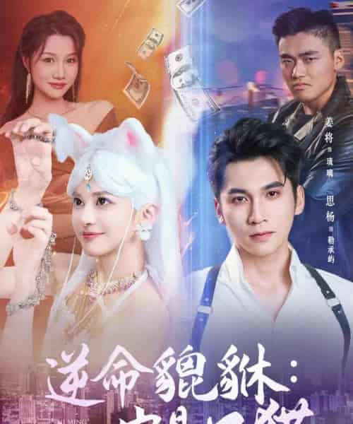 逆命貔貅它是只猫（35集）姜将-紫橙网创项目网