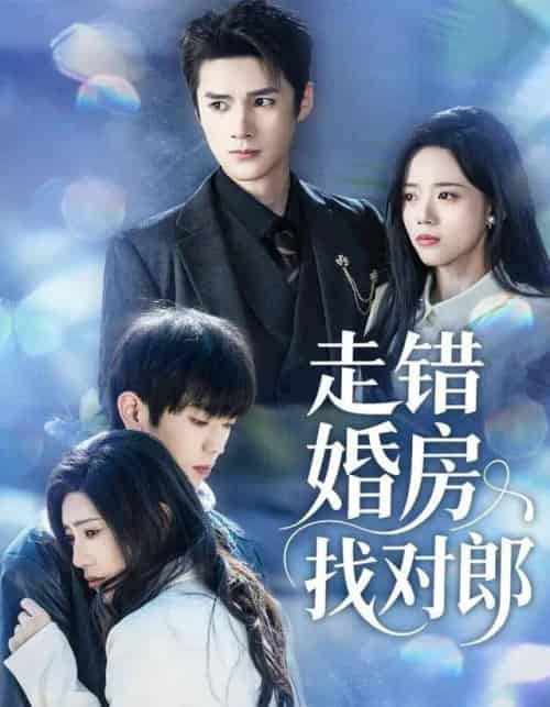 走错婚房找对郎（50集全）刘辰锐＆刘艺然-紫橙网创项目网