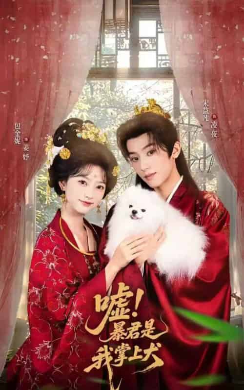 嘘暴君是我掌上犬＆废妃逆袭陛下借宠识真心（40集全）包金妮＆宋益凡 - 紫橙阁短剧